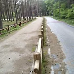 Letniskowe Zygmunt *