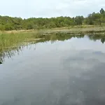 Letniskowe Zygmunt ロッジ コパリノ