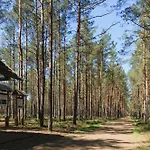 Letniskowe Zygmunt *