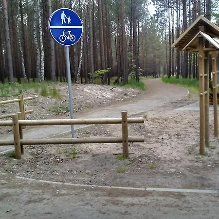 Letniskowe Zygmunt *