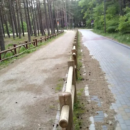 Letniskowe Zygmunt *