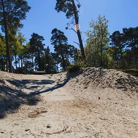 Letniskowe Zygmunt אכסניה