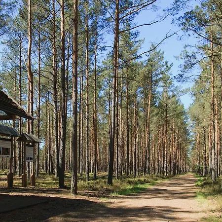 Letniskowe Zygmunt *