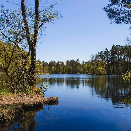 Lodge Letniskowe Zygmunt Kopalino
