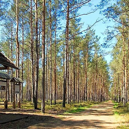 Lodge Letniskowe Zygmunt Kopalino