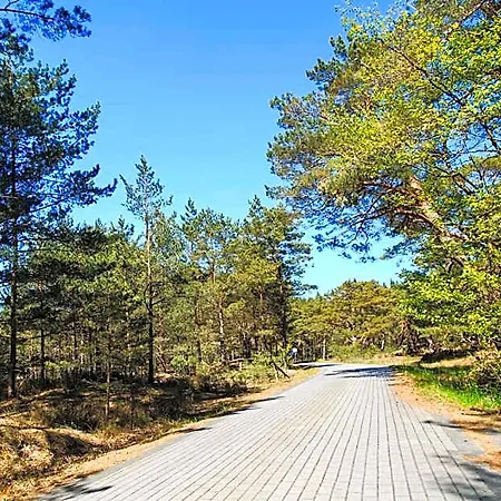 Letniskowe Zygmunt Lodge Kopalino