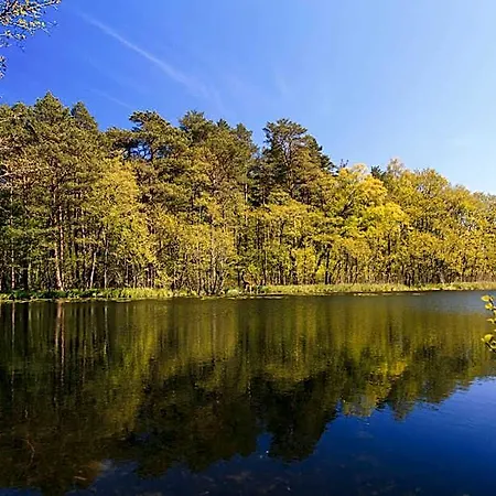 Lodge Letniskowe Zygmunt *