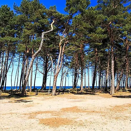 Lodge Letniskowe Zygmunt Kopalino