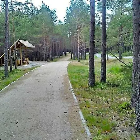 Letniskowe Zygmunt