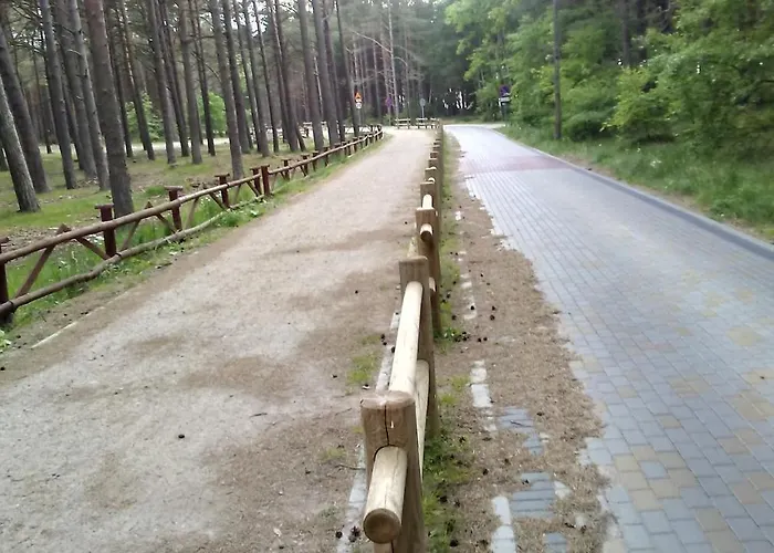 Letniskowe Zygmunt *