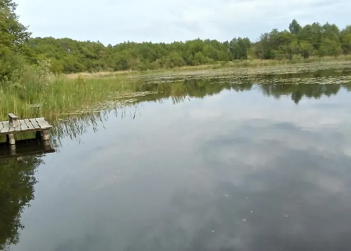 Letniskowe Zygmunt Lodge Kopalino