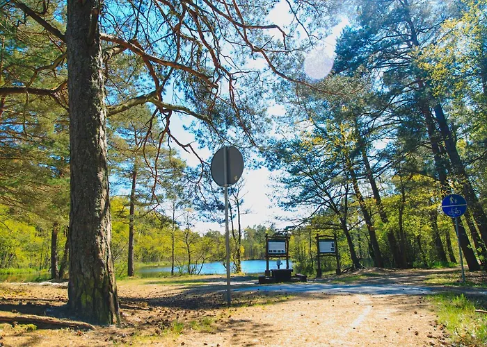 Letniskowe Zygmunt *