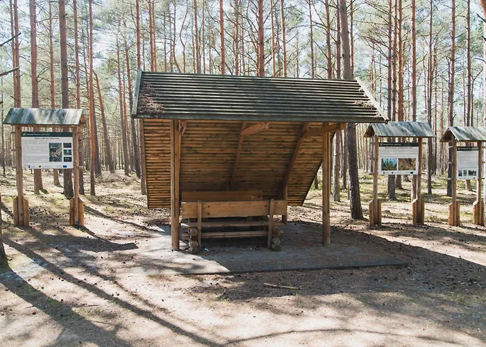 Letniskowe Zygmunt Kopalino