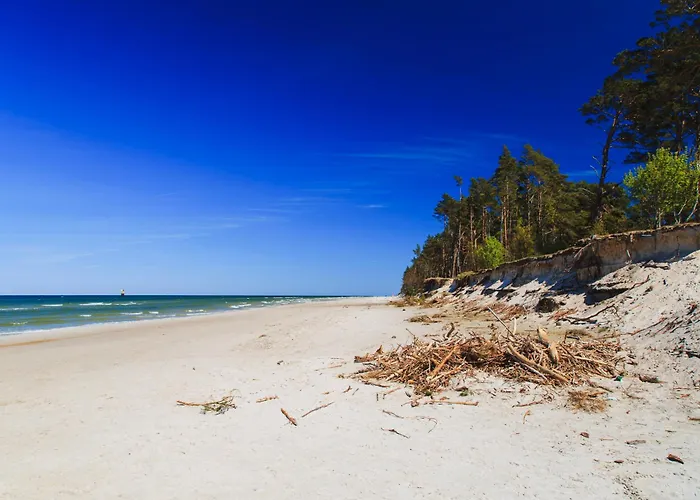 Letniskowe Zygmunt *