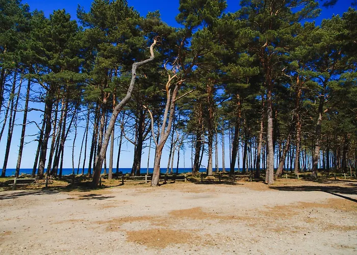 Lodge Letniskowe Zygmunt