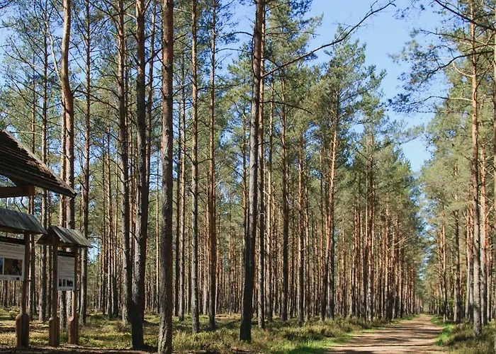 Letniskowe Zygmunt *