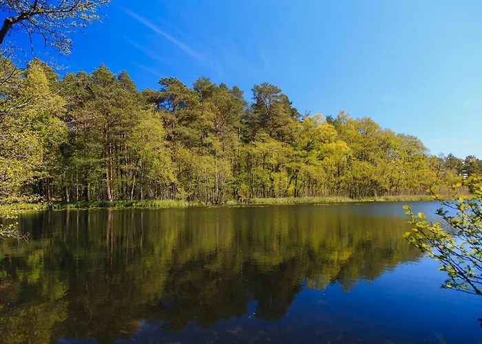 Letniskowe Zygmunt Lodge Kopalino
