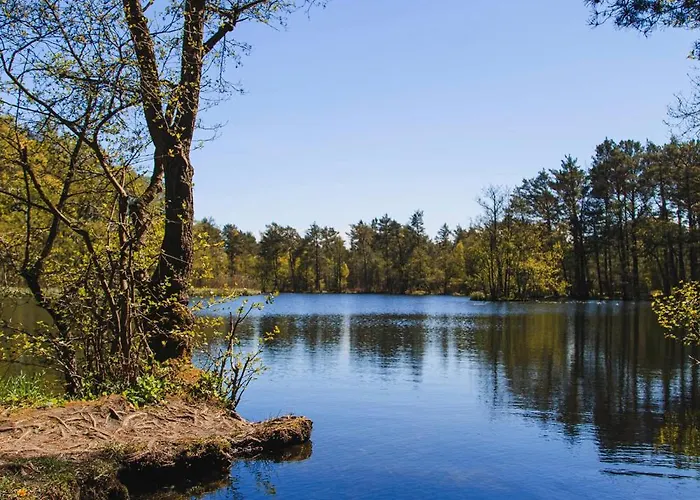 Lodge Letniskowe Zygmunt Kopalino