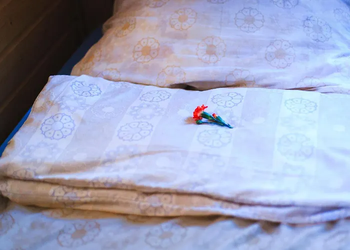 Letniskowe Zygmunt Kopalino